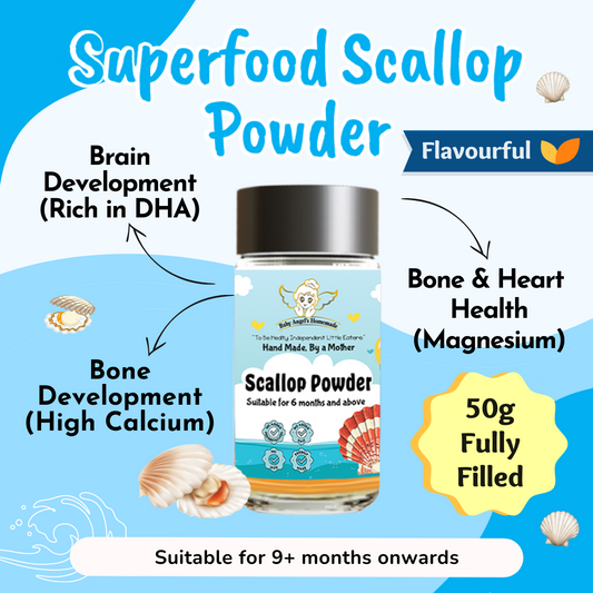 Scallop Powder