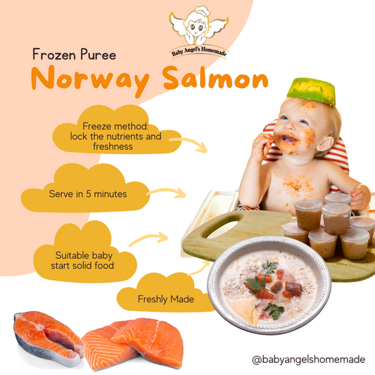 Salmon Puree